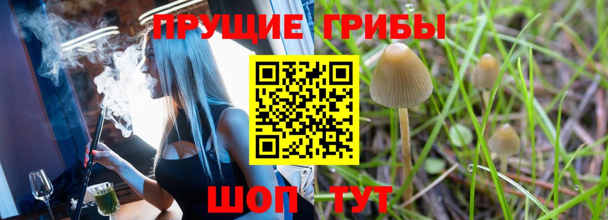 Галлюциногенные грибы Magic Shrooms  Вход с VPN  Псилоцибиновые грибы Magic Shrooms  Богданович 
